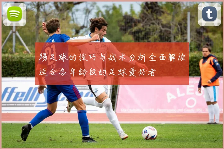 踢足球的技巧与战术分析全面解读适合各年龄段的足球爱好者