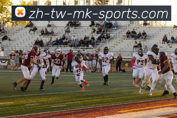 MK官方网站发展历程