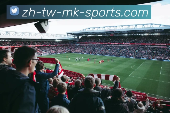 恒大足球场设计公司引领未来体育场馆创新与可持续发展新趋势